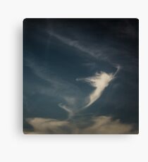 Spirit Rising Canvas Print