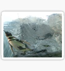 Penguin Sticker