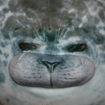 Artwork thumbnail, Chubby Blob Seal by RiaBubble