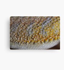 scales Canvas Print