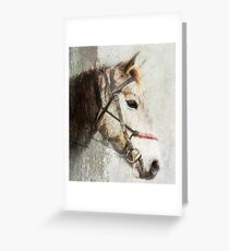 A horse called Meggs Greeting Card