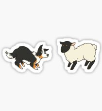 Come Bye - Tri-color dog and black sheep Sticker