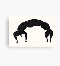 The Twist Canvas Print