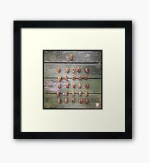 Cicada Shells Framed Print