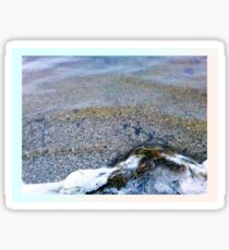 Sea foam Sticker