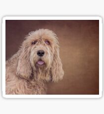 Shaggy Dog Sticker