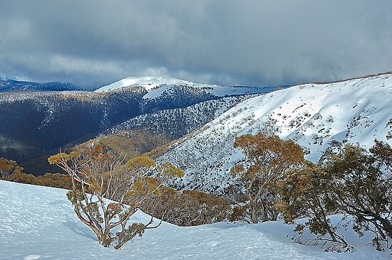 Snowy Mountains Views Victorian Alps National Park Victoria