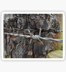 Barbed Wire Sticker