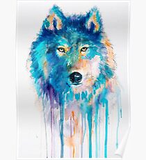 wolf Poster
