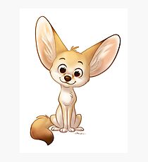 Fennec Fox Photographic Print