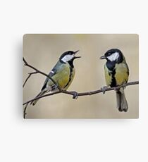 Tits Canvas Print