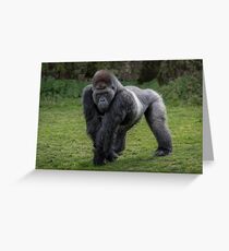 Gorilla Greeting Card