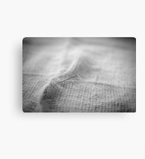 Torn Canvas Print