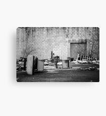 From the Ashes Canvas Print