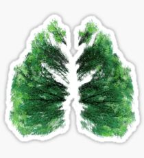 Natures Breath Green Sticker