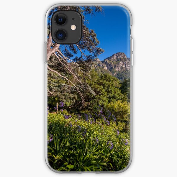 View from Kirstenbosch, South Africa iPhone Soft Case