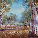 'Melrose Gums' by Lynda Robinson