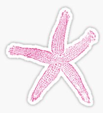 Starfish Sticker