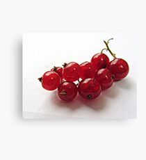 Red currant Canvas Print