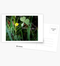 Lone Buttercup and Clover Leaf Postcards