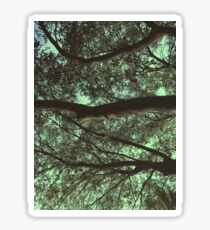 VERDE Sticker