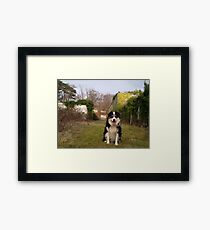 Who's a Good Boy, Then? Framed Print