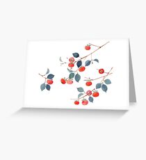 Persimmon Harvest Greeting Card