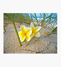 Frangipani Beach. Photographic Print