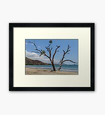 Survival Framed Print