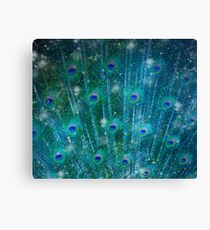 Peacock Canvas Print