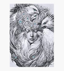 Fairy fairy with white hawks Photographic Print