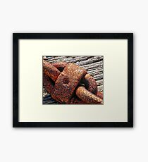 Trip to Wollongong Harbour (1) Framed Print