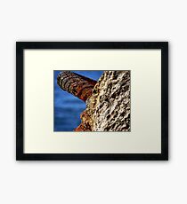 Trip to Wollongong Harbour (3) Framed Print