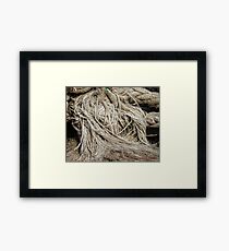 Trip to Wollongong Harbour (7) Framed Print