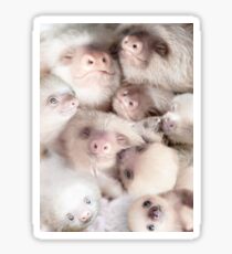 Sloth Sticker
