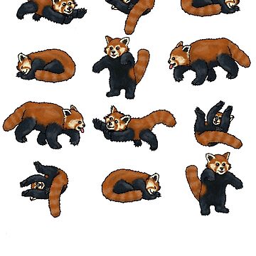 Artwork thumbnail, Red Pandas by TheRandomFactor