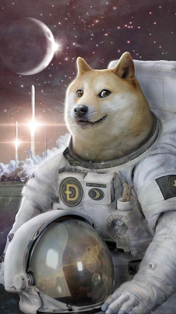 "Dogecoin going to the moon" by RelativeMotion | Redbubble