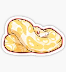 Albino Ball Python Sticker