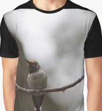 The best of the newest hummingbirds 9-16-2015 Graphic T-Shirt