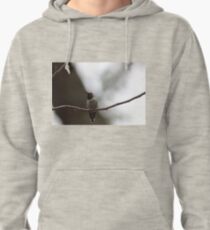 The best of the newest hummingbirds 9-16-2015 Pullover Hoodie