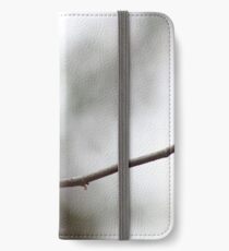 The best of the newest hummingbirds 9-16-2015 iPhone Wallet/Case/Skin