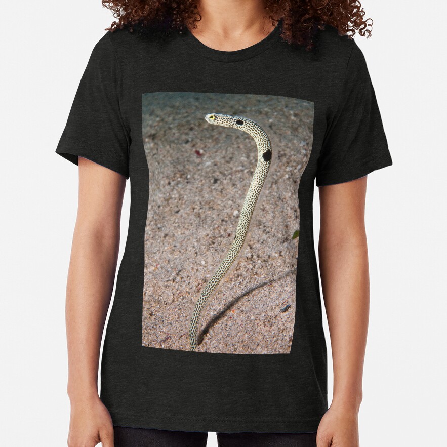 Spotted Garden Eel, North Sulawesi, Indonesia Tri-blend T-Shirt
