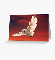 Prey Spotted Greeting Card