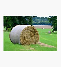 Down On The Farm Photographic Print