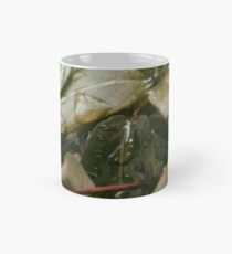 Blätter Tasse (Standard)