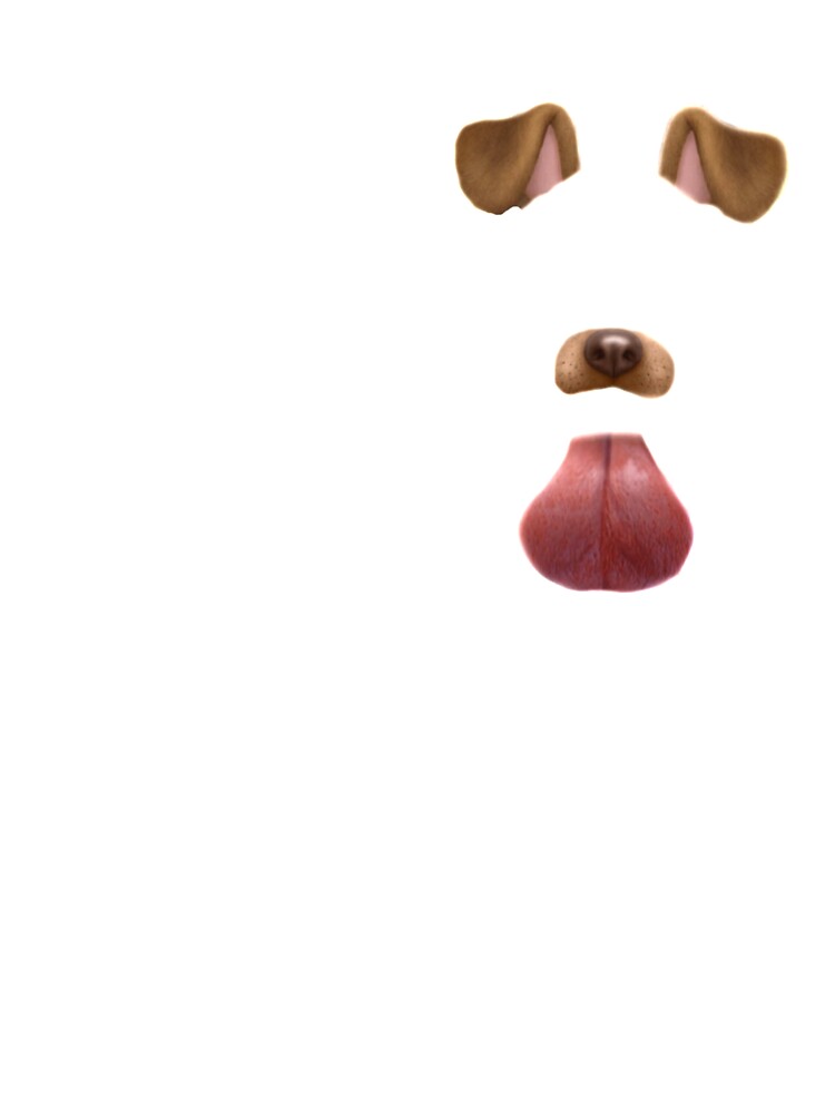 Snapchat dog filter" Lightweight Hoodies by Matt Redbubble | Redbubble Snapchat dog filter" Lightweight Hoodies by Matt Redbubble | Redbubble