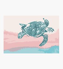 Pastel Turtle Photographic Print