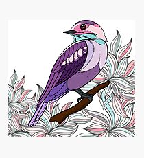Purple bird vector illustration print Photographic Print