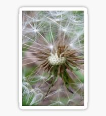 Dandelion Fluff Sticker