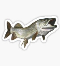 Toothy muskie Sticker